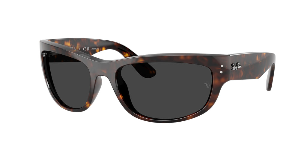 Ray-Ban | 0RB2289