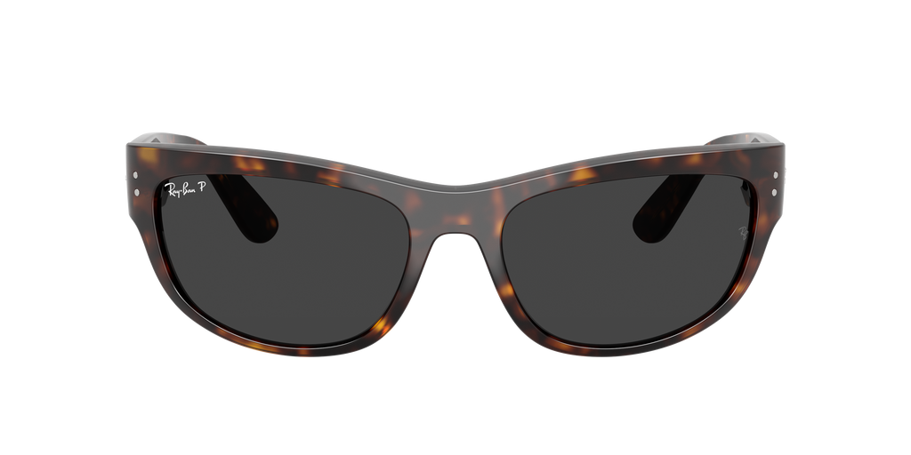 Ray-Ban | 0RB2289
