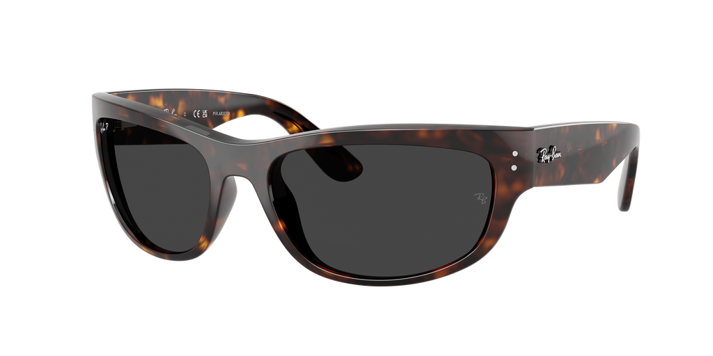 Ray-Ban | 0RB2289