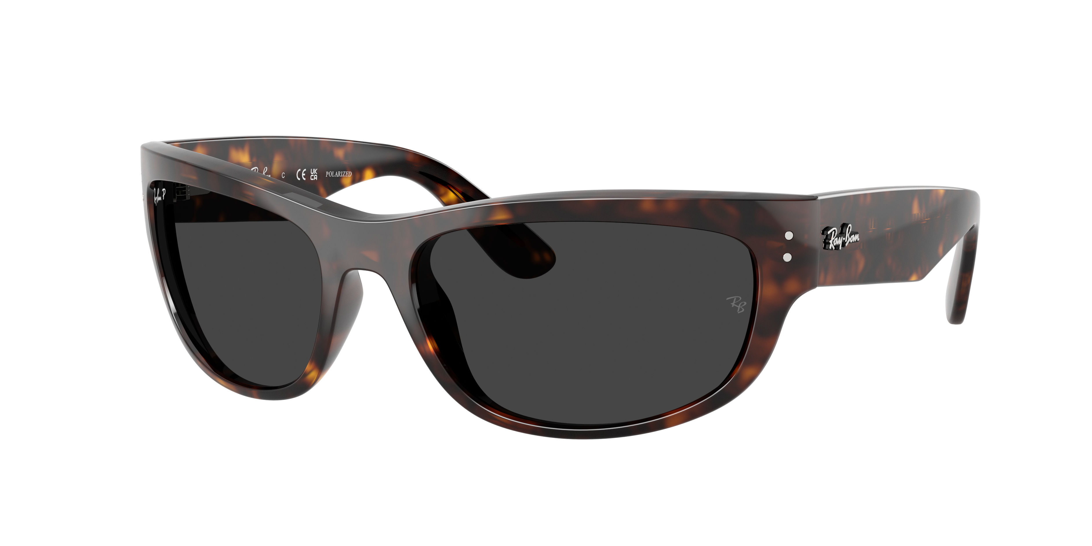 Ray-Ban | 0RB2289