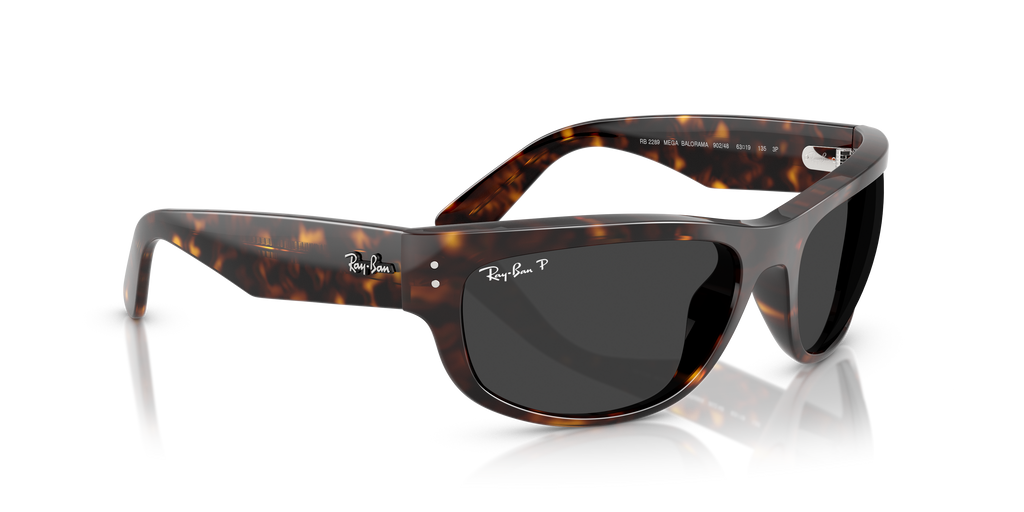 Ray-Ban | 0RB2289