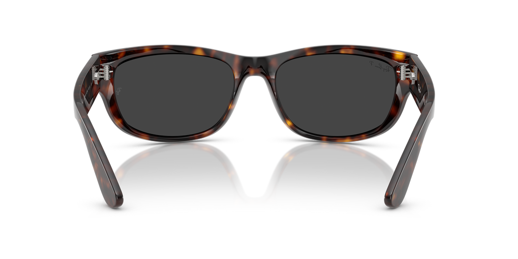 Ray-Ban | 0RB2289