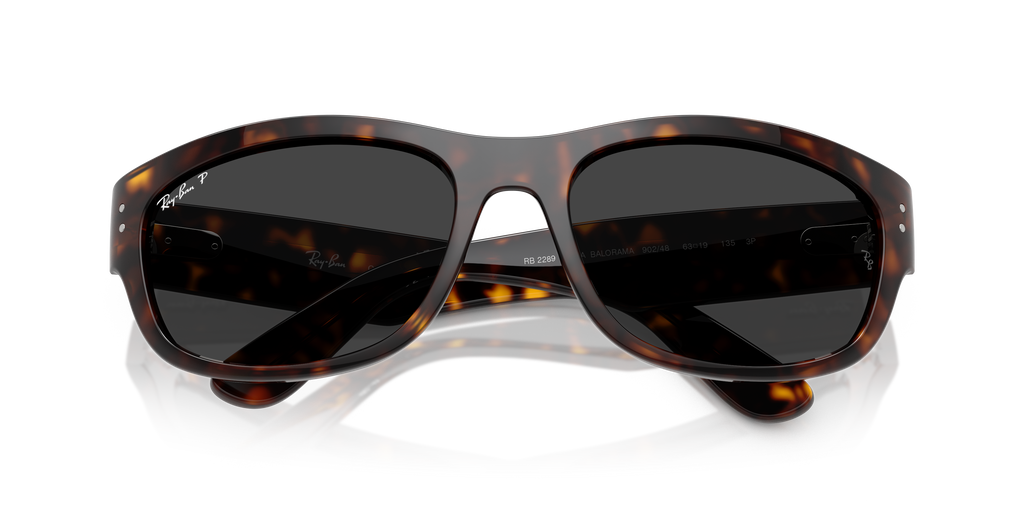 Ray-Ban | 0RB2289
