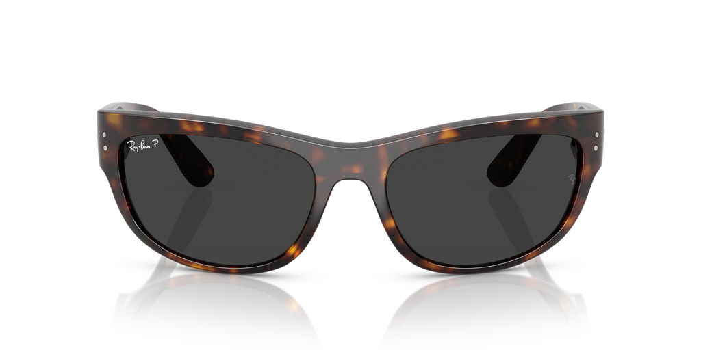 Ray-Ban | 0RB2289