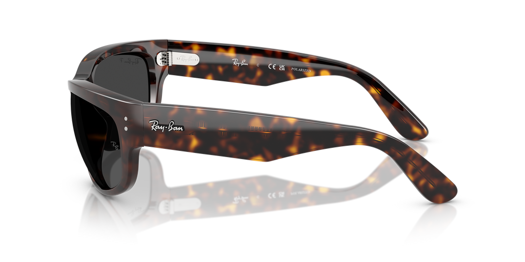 Ray-Ban | 0RB2289
