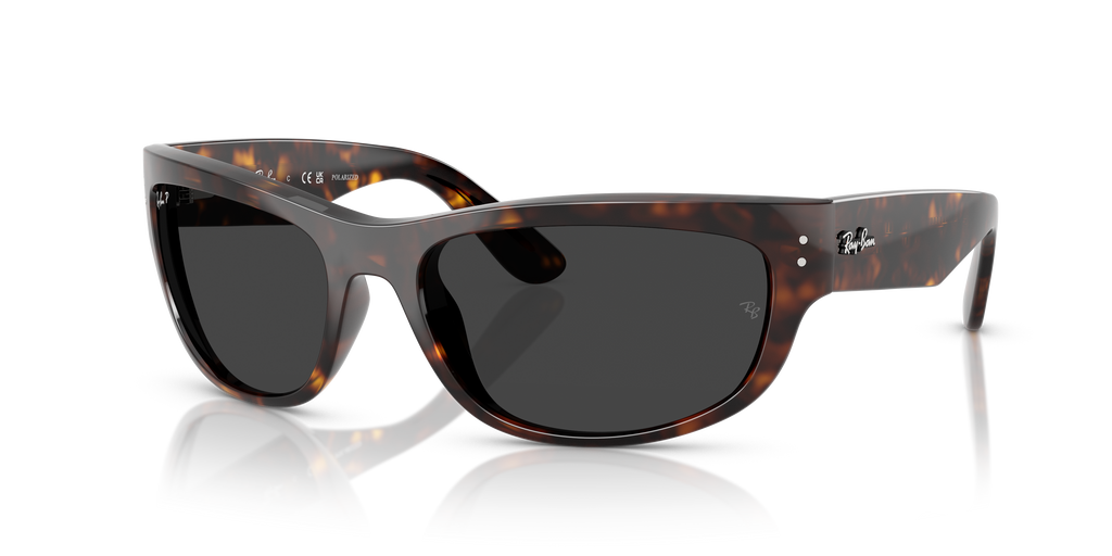 Ray-Ban | 0RB2289