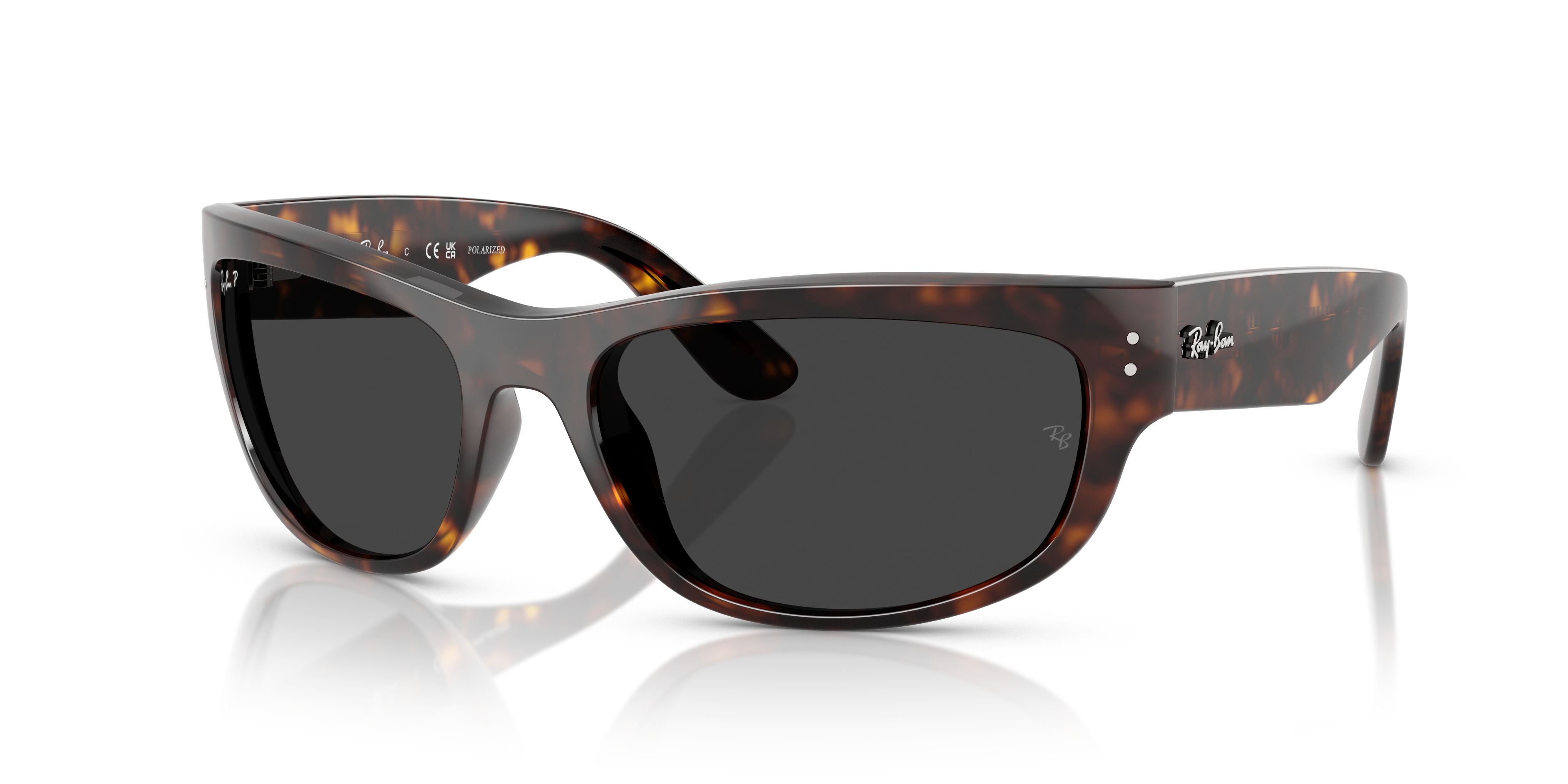 Ray-Ban | 0RB2289