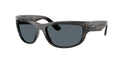 Ray-Ban | 0RB2289