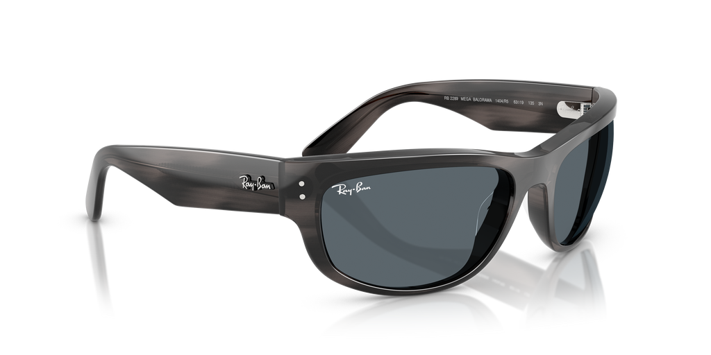 Ray-Ban | 0RB2289