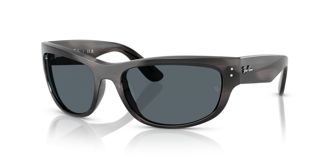 Ray-Ban | 0RB2289