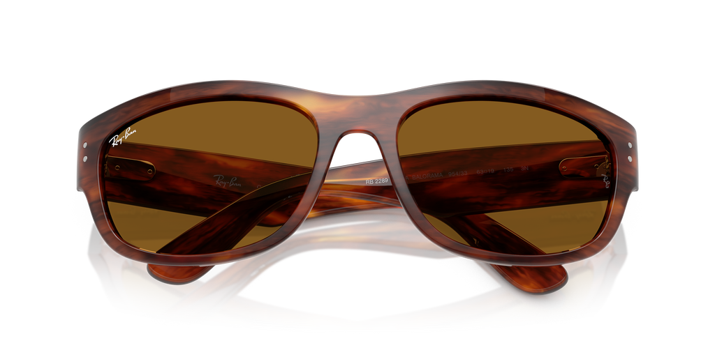Ray-Ban | 0RB2289