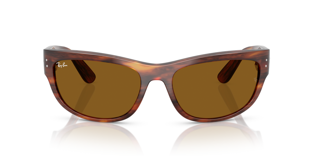Ray-Ban | 0RB2289