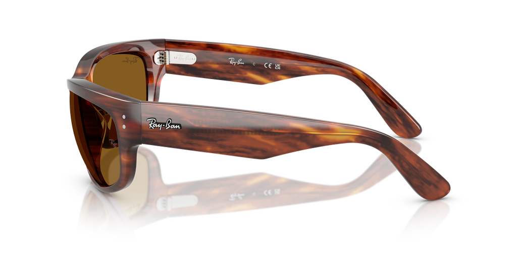 Ray-Ban | 0RB2289