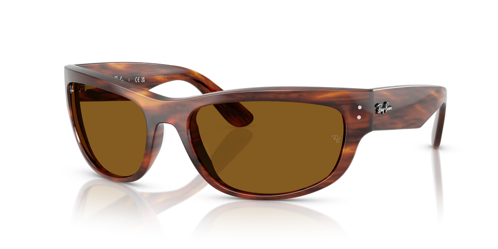 Ray-Ban | 0RB2289