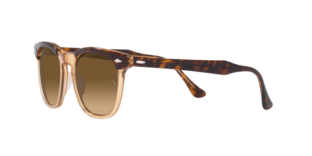 Ray-Ban | 0RB2298