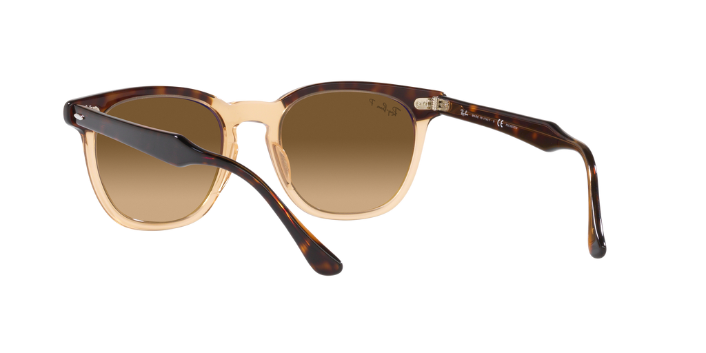 Ray-Ban | 0RB2298