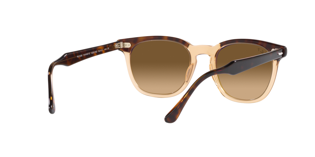 Ray-Ban | 0RB2298