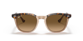 Ray-Ban | 0RB2298