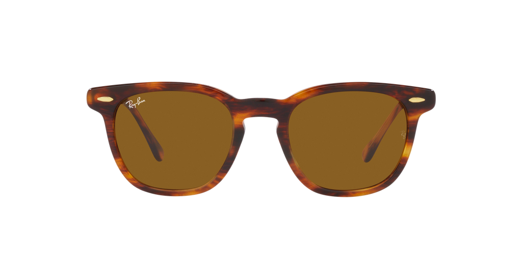Ray-Ban | 0RB2298