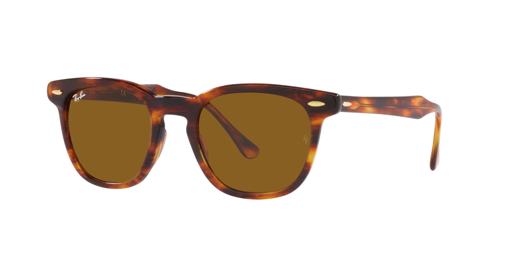 Ray-Ban | 0RB2298