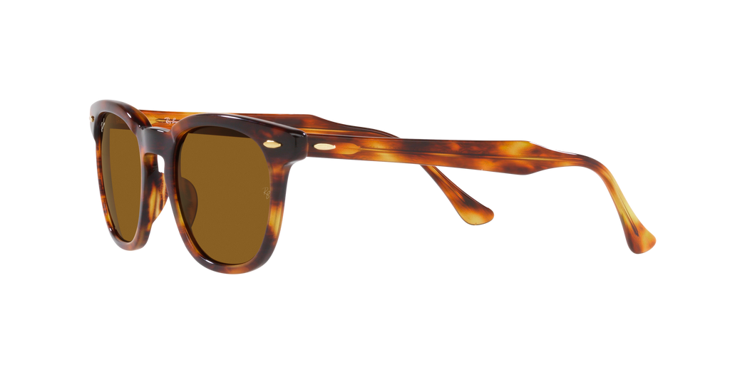 Ray-Ban | 0RB2298