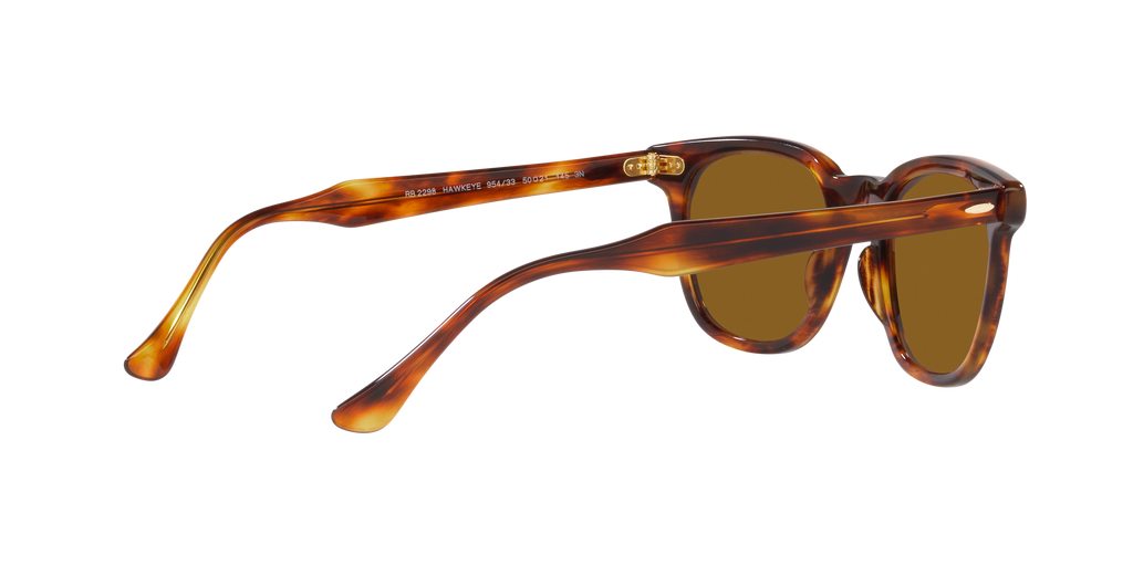 Ray-Ban | 0RB2298