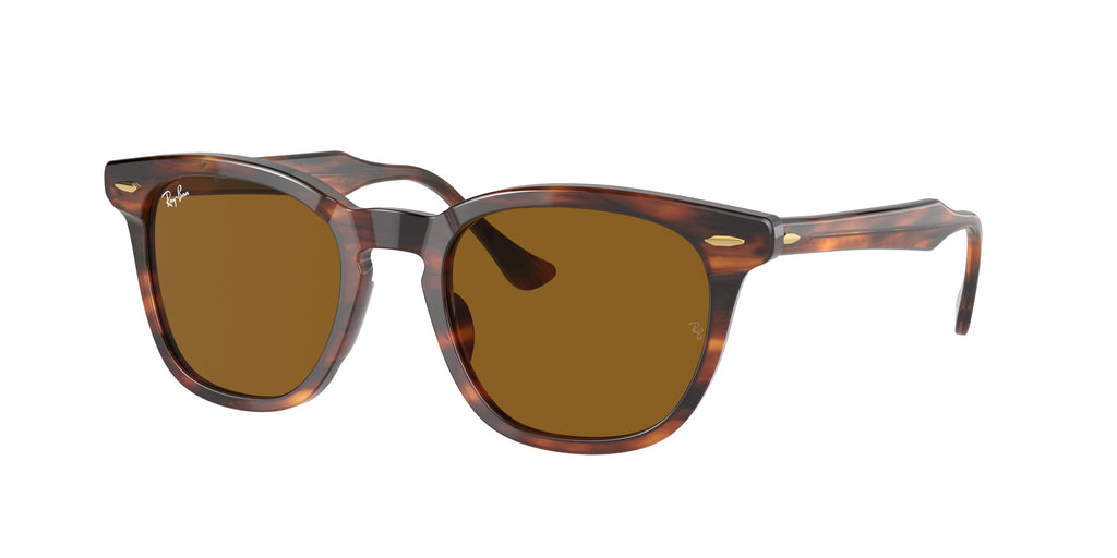 Ray-Ban | 0RB2298