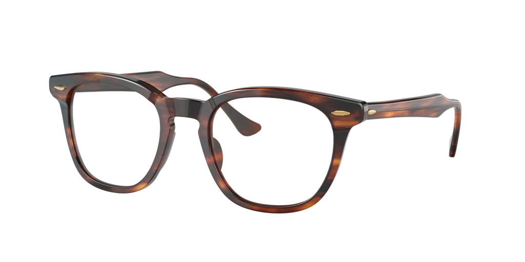 Ray-Ban | 0RB2298
