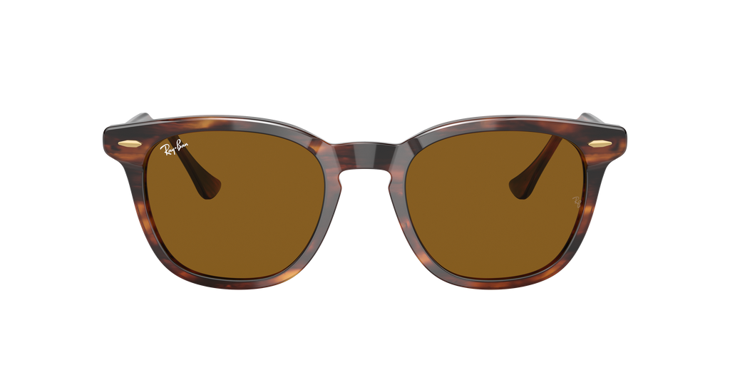 Ray-Ban | 0RB2298