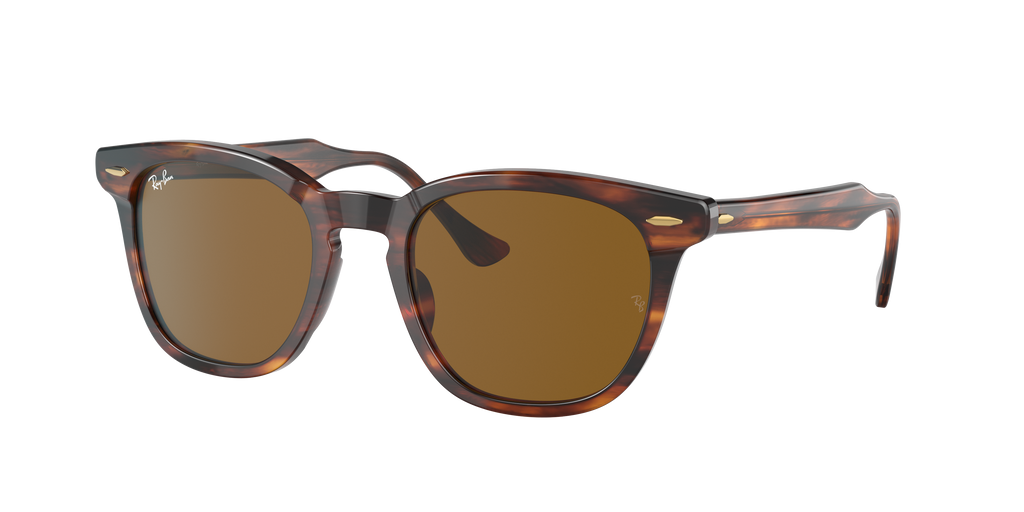 Ray-Ban | 0RB2298