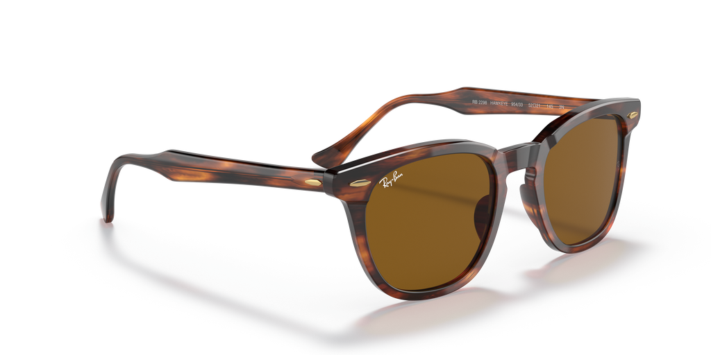 Ray-Ban | 0RB2298