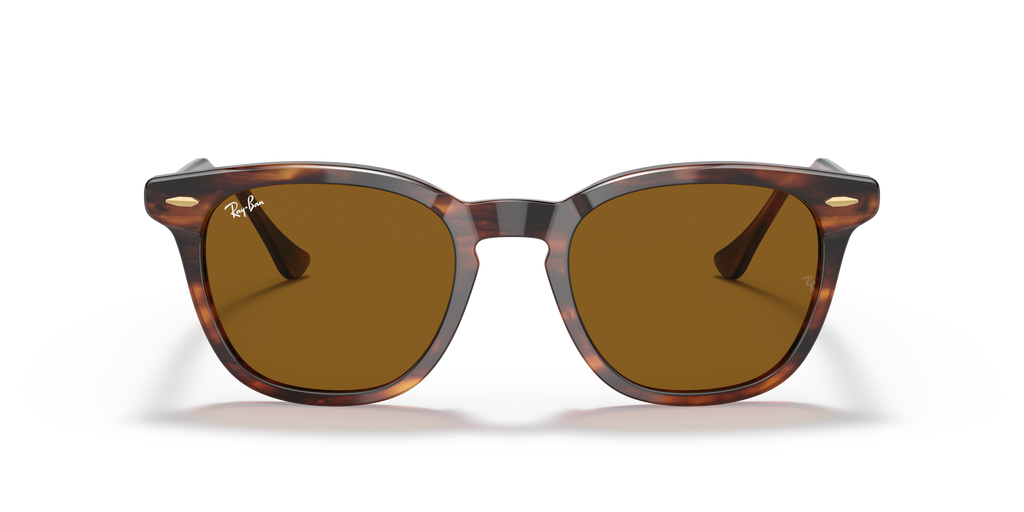 Ray-Ban | 0RB2298