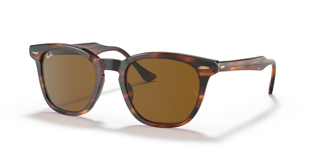 Ray-Ban | 0RB2298