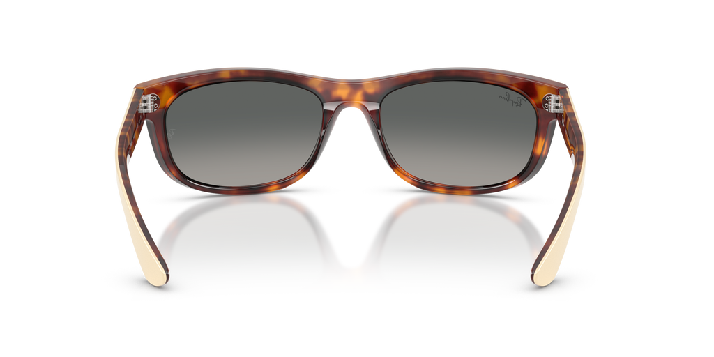 Ray-Ban | 0RB2489