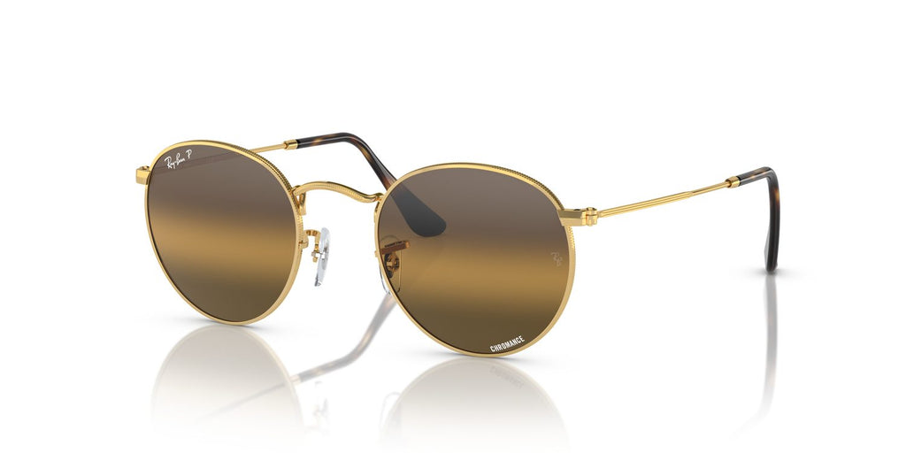 Ray-Ban | 0RB3447
