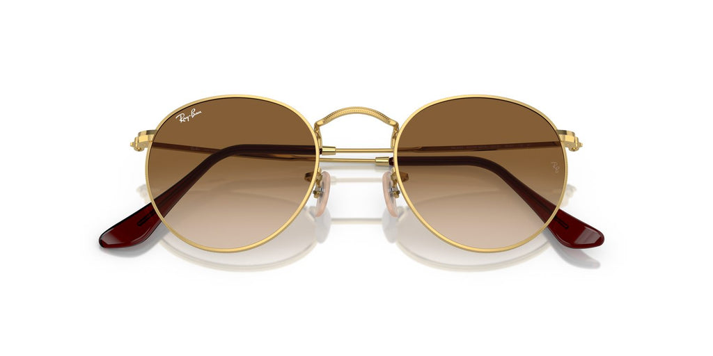 Ray-Ban | 0RB3447