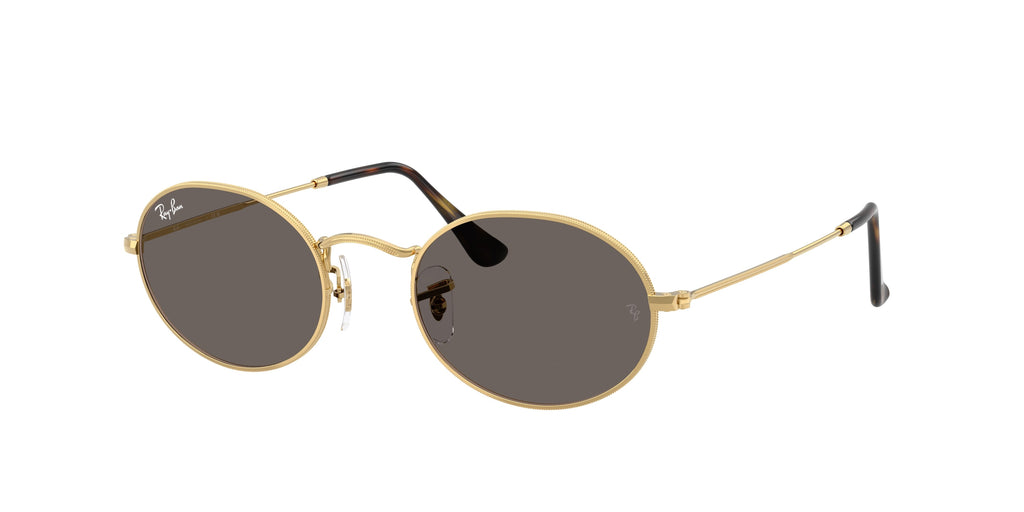 Ray-Ban | 0RB3547N