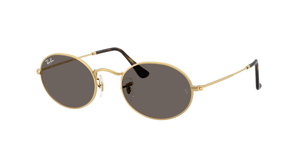 Ray-Ban | 0RB3547N