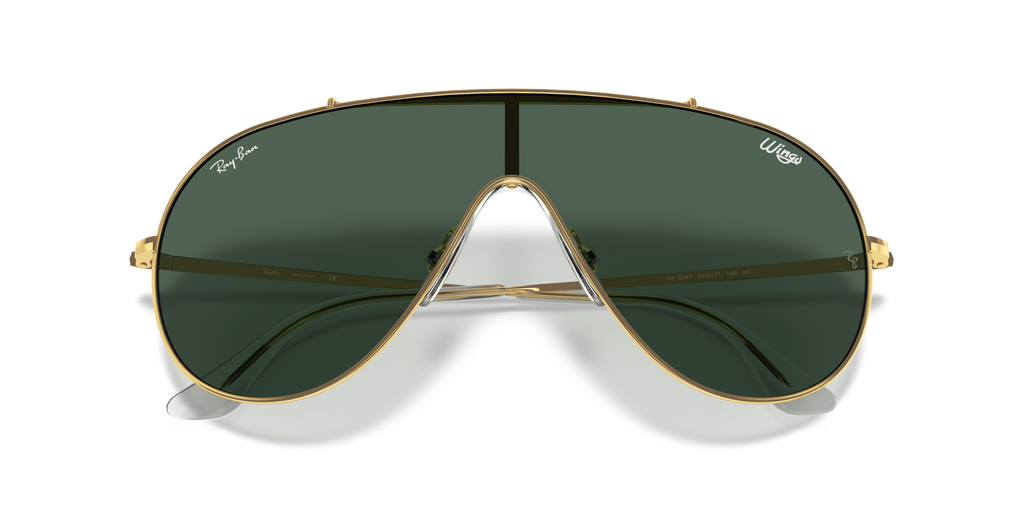 Ray-Ban | 0RB3597
