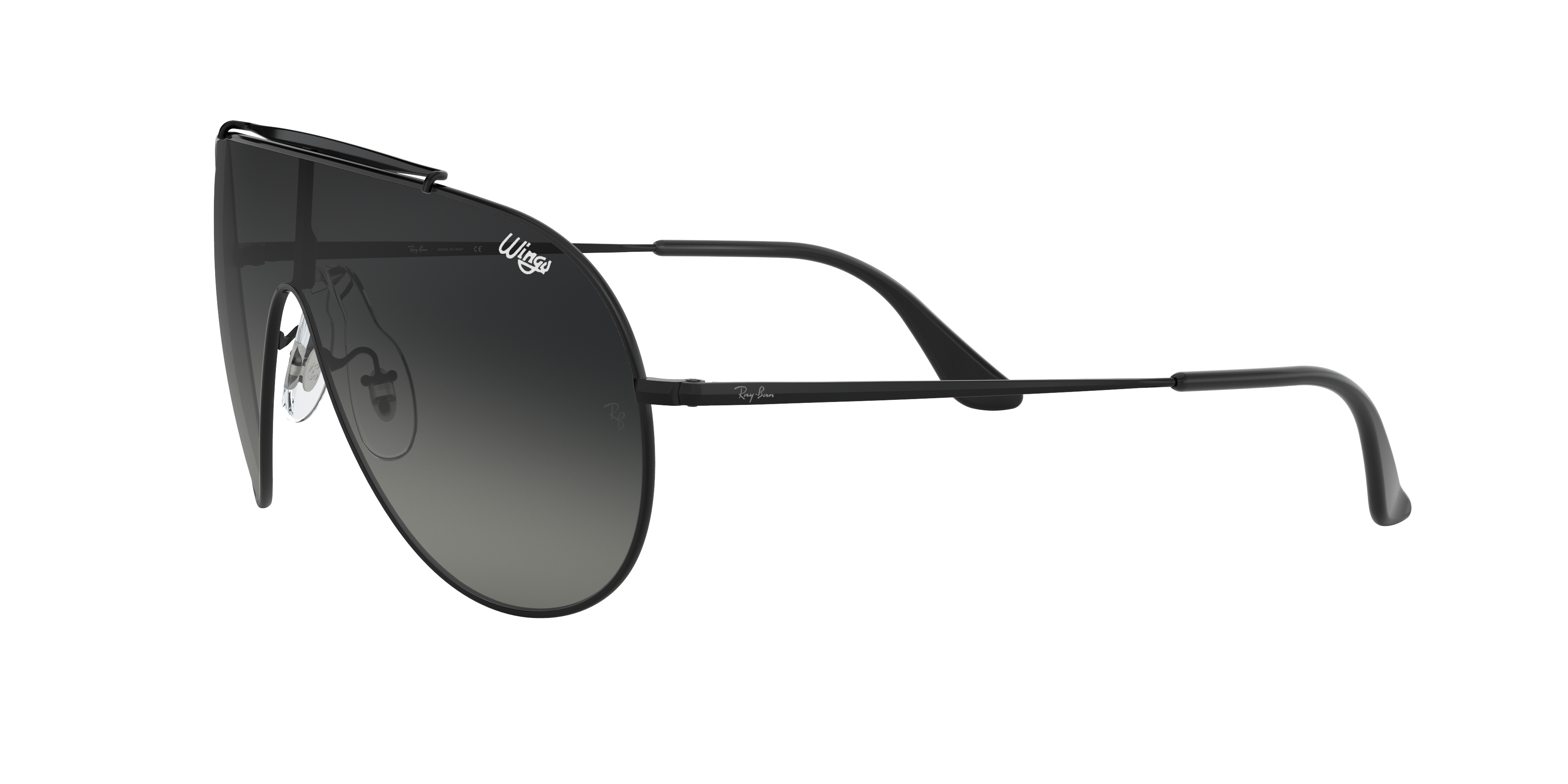 Ray-Ban | 0RB3597