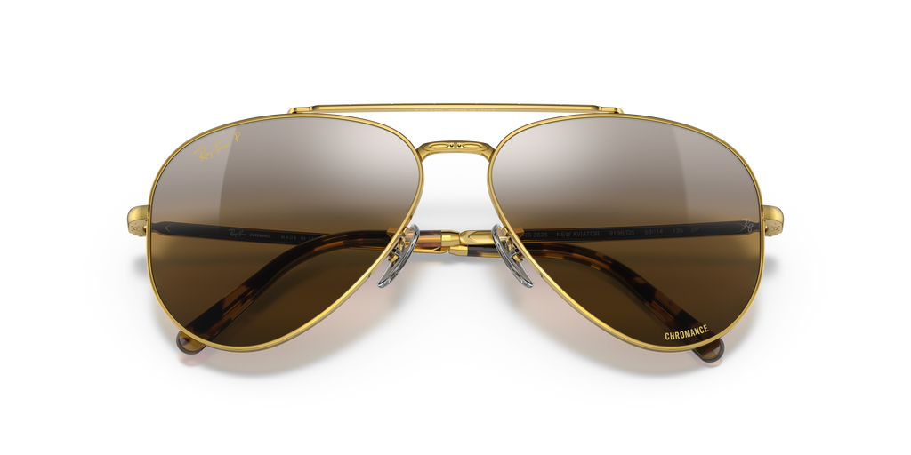 Ray-Ban | 0RB3625
