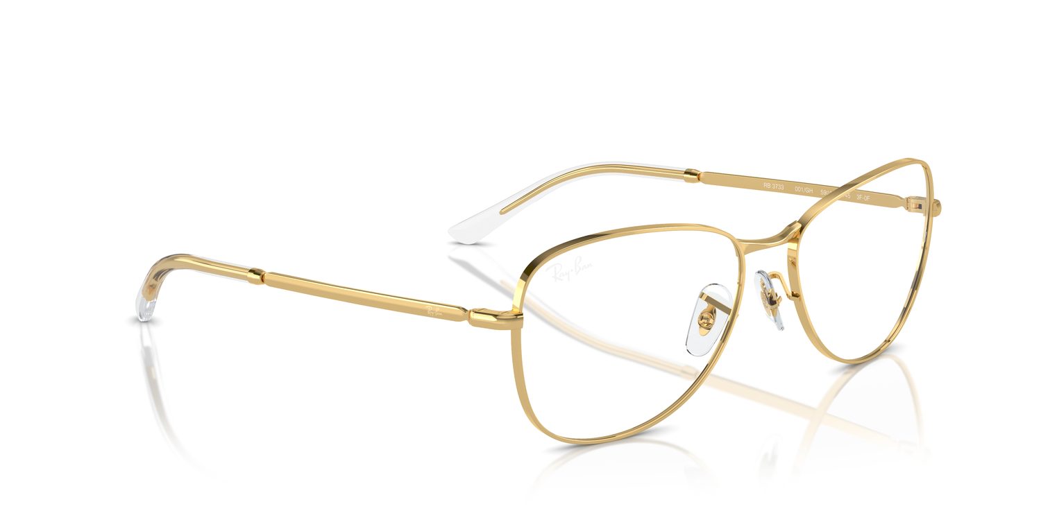 Ray-Ban | 0RB3733