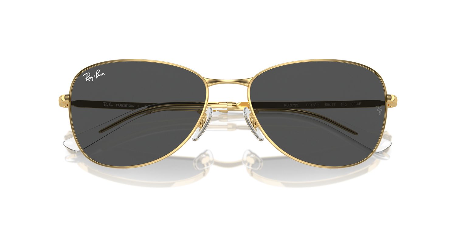 Ray-Ban | 0RB3733