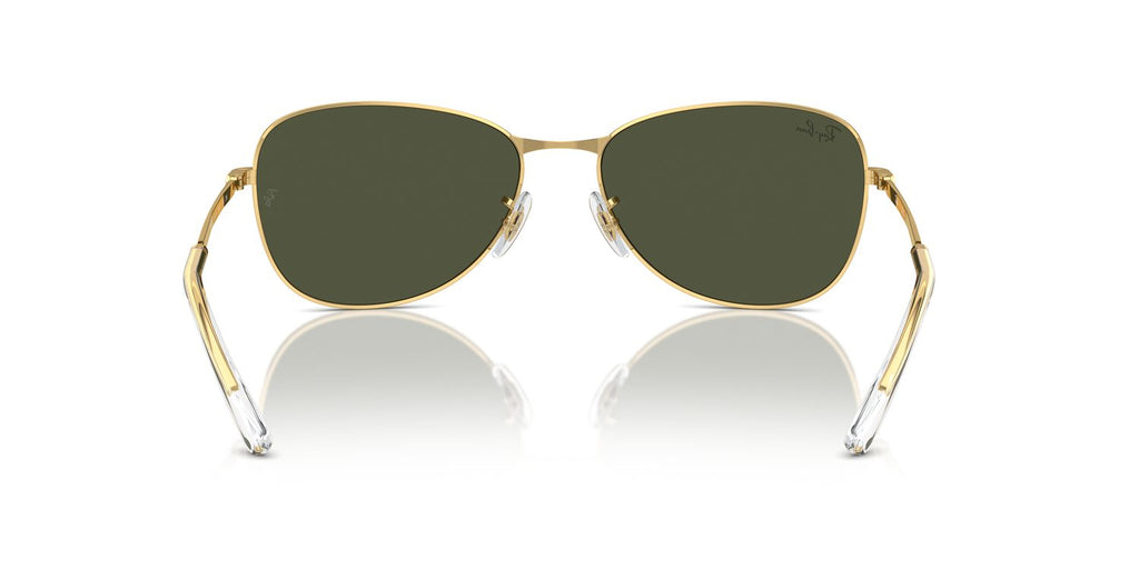 Ray-Ban | 0RB3733
