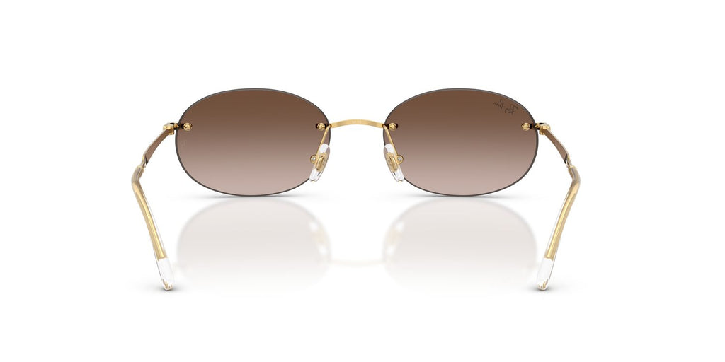 Ray-Ban | 0RB3767