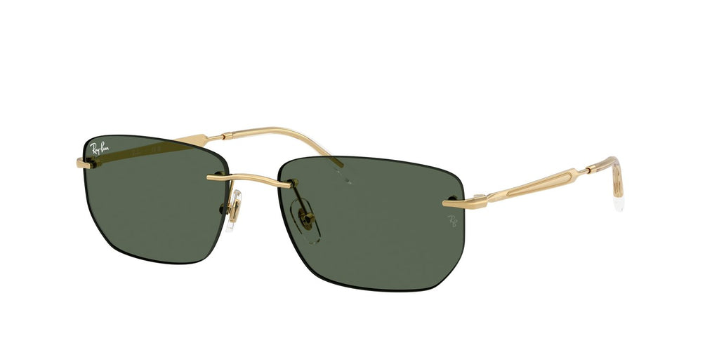 Ray-Ban | 0RB3768