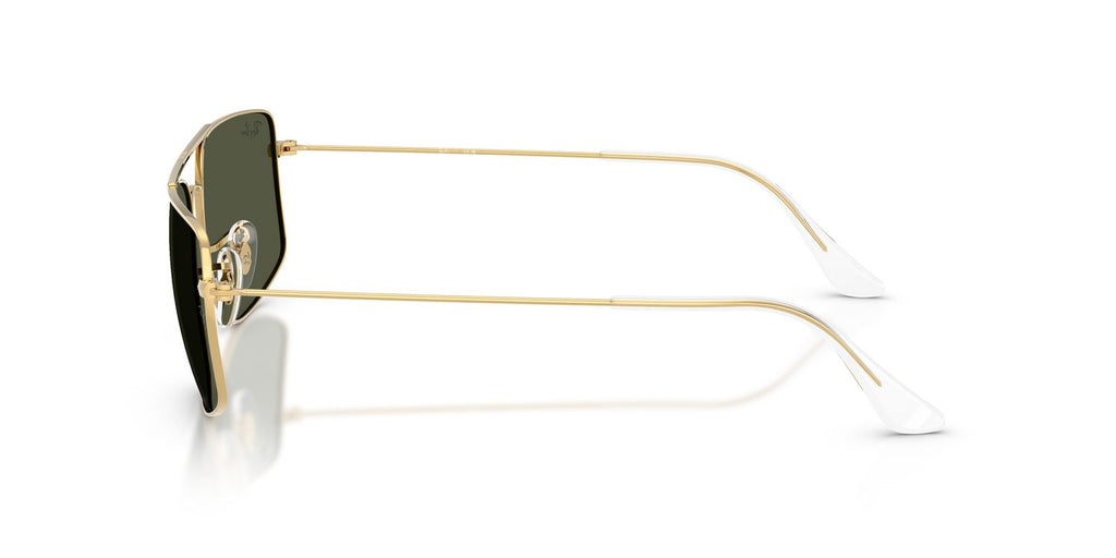 Ray-Ban | 0RB3779