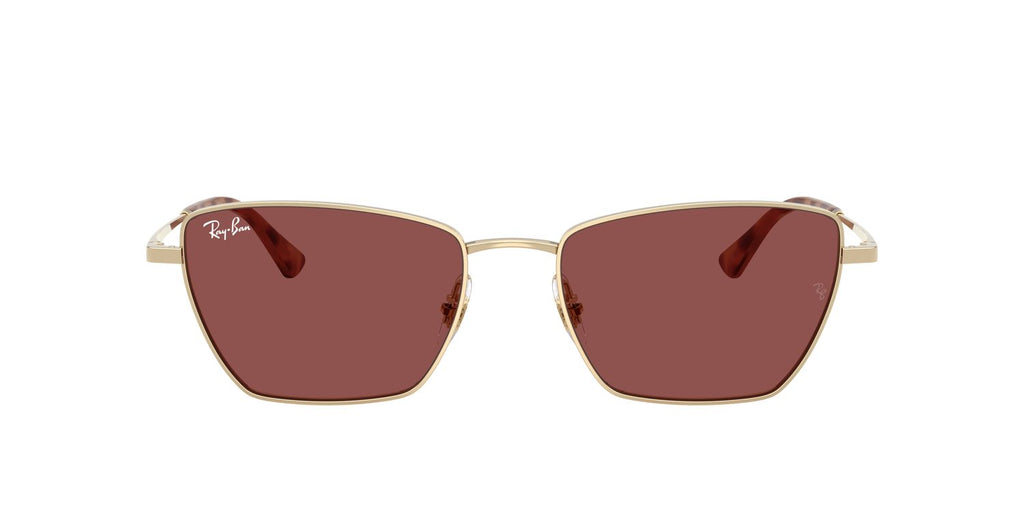 Ray-Ban | 0RB3783