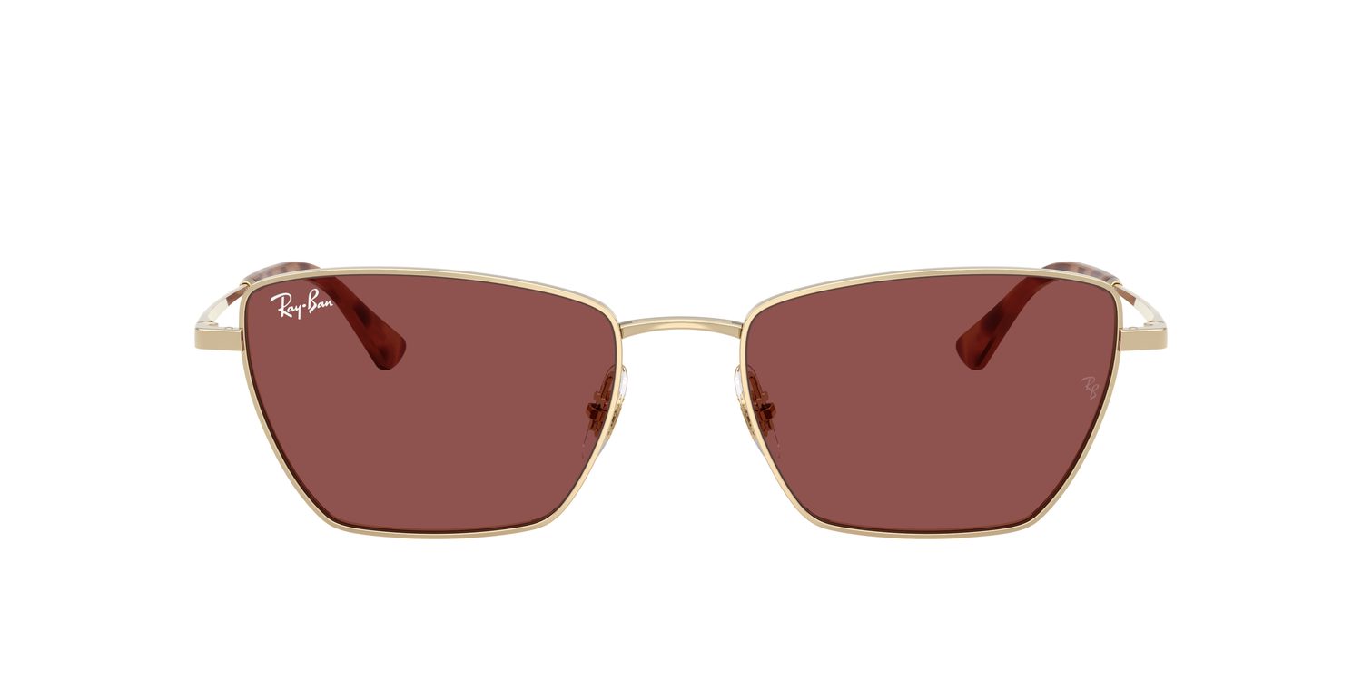 Ray-Ban | 0RB3783