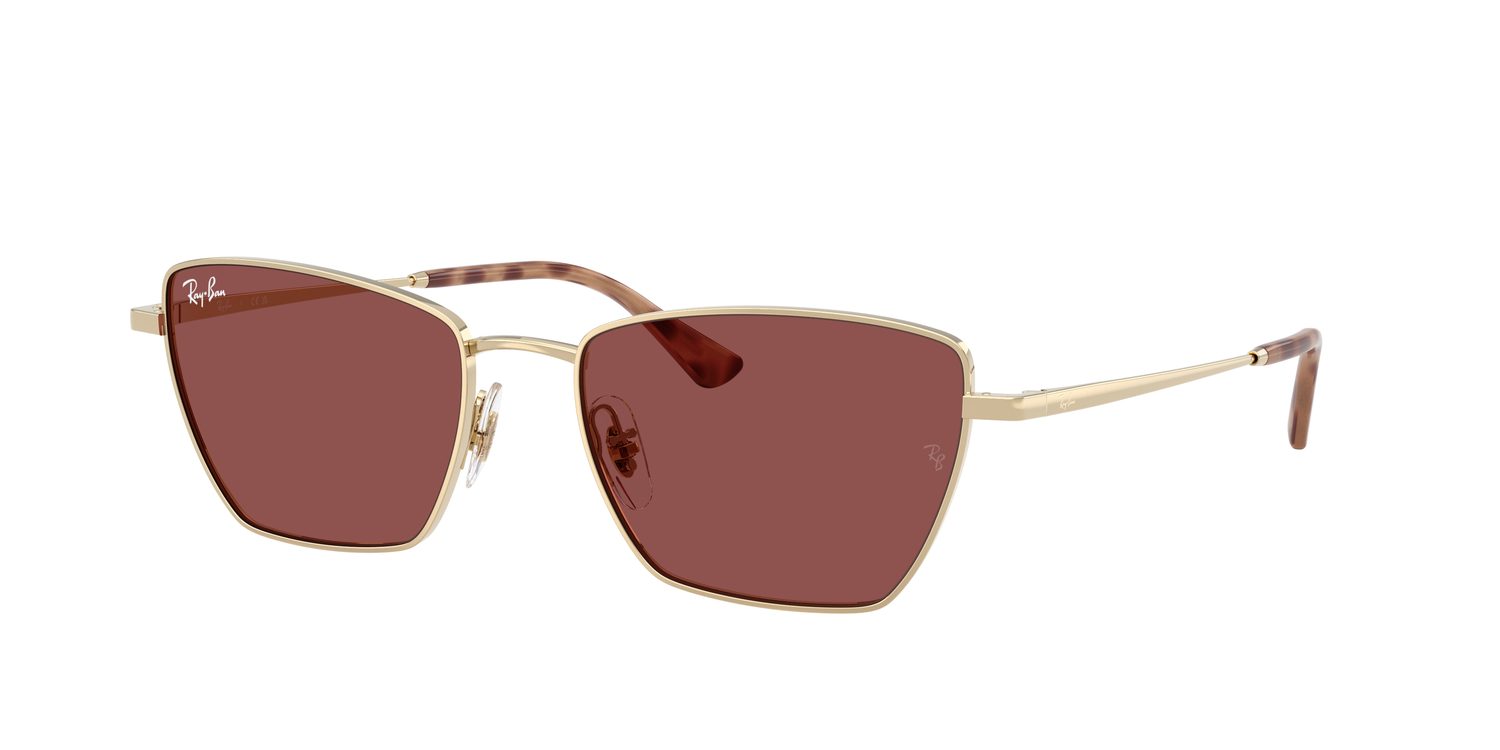 Ray-Ban | 0RB3783